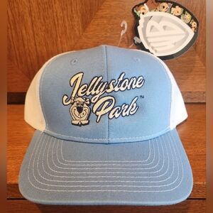 NWT Jellystone Park Trucker Hat Birchwood Acres